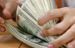 dolares
