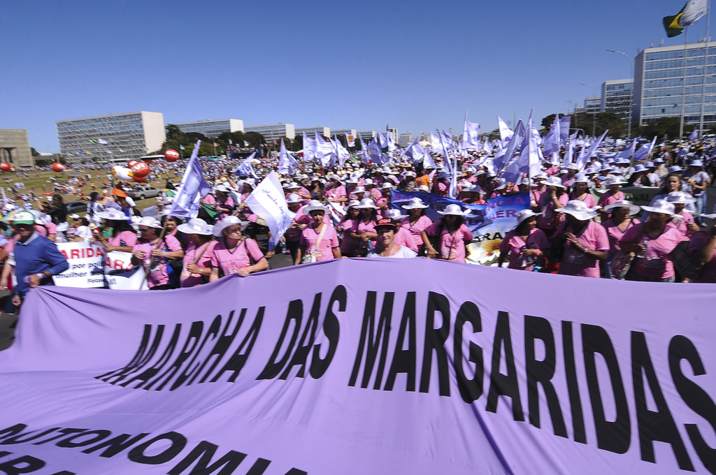 margaridas externa