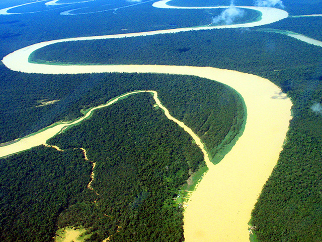 Floresta Amazonica