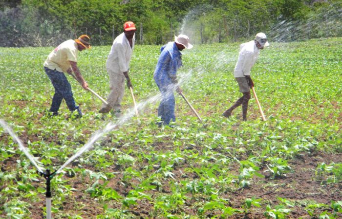 projeto legislação trabalhista campo