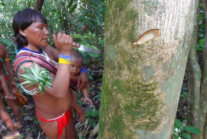Amazônia soberania
