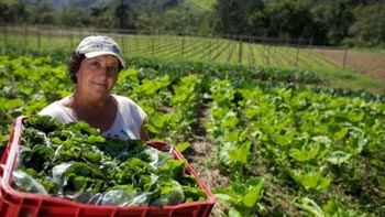 Agricultura familiar: R$ 5 bilhões em crédito, a 2% de juro