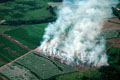 Contra Governo, comissão aprova plantio de cana na Amazônia