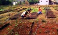 Reforma agrária vai injetar R$ 3,4 bi na economia em 2013