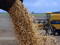 Produção de grãos chega a 184,05 milhões de toneladas