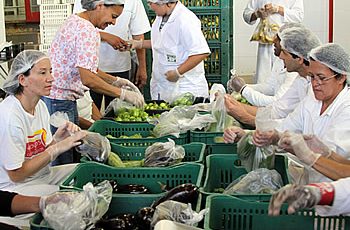 Programa de Aquisição de Alimentos faz crescer número de cooperativas rurais