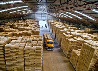 Melhoria na gestão de armazenamento de grãos é aprovada e vai à sanção