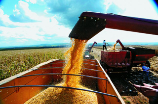IBGE constata: produção agrícola chegou a R$ 204 bilhões em 2012