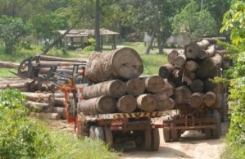 Funai denuncia procurador que autorizou exploração ilegal na Amazônia