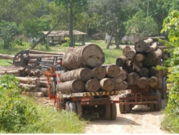 Funai denuncia procurador que autorizou exploração ilegal na Amazônia