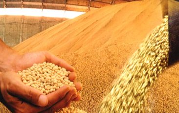 Safra de grãos deve chegar a 195,9 milhões de toneladas