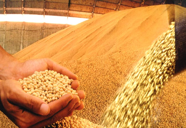 Safra de grãos deve chegar a 195,9 milhões de toneladas