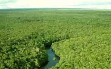 Ameaça à Amazônia: ruralistas forçam cultivo de cana