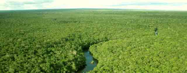 Ameaça à Amazônia: ruralistas forçam cultivo de cana