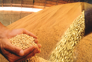 Exportações do agronegócio em março somam US$ 7,97 bi