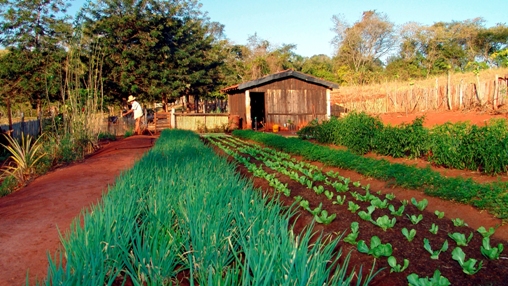 Inclusão abre perspectiva para agricultores em situação de extrema pobreza