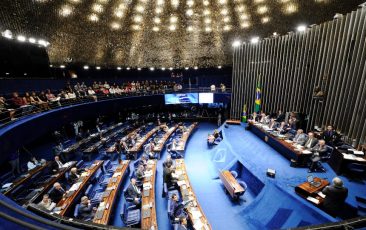 plenario senado1307