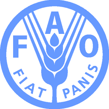 Para FAO, Fome Zero está ‘no topo’ das soluções mundiais contra a miséria