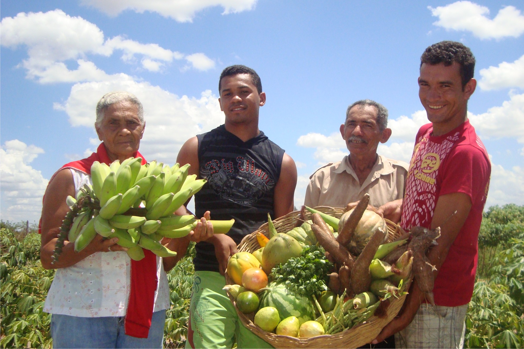 Agricultura orgânica deve movimentar cerca de R$ 2,5 bilhões no próximo ano