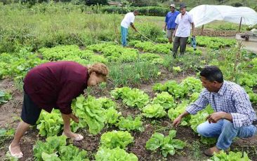 materia agricultura familiar