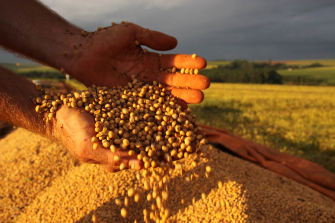 Safra 2015/2016 atingirá 210,5 milhões de toneladas de grãos