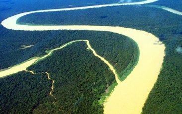 Floresta Amazonica