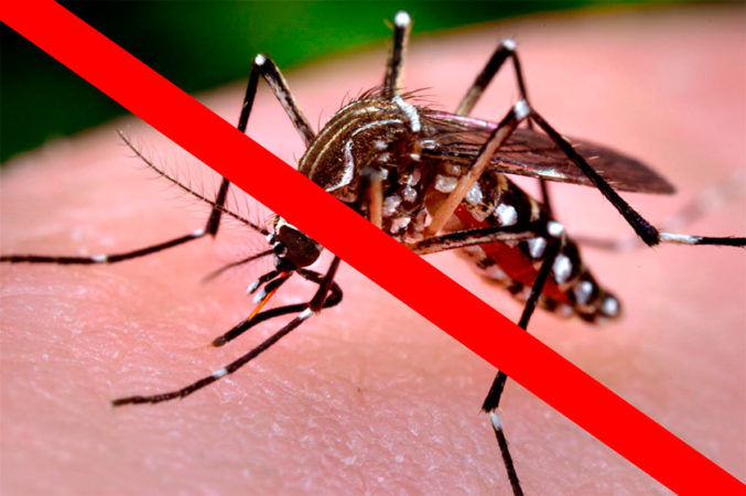 Governo investe R$ 649 milhões para combate a zika, dengue e chikungunya