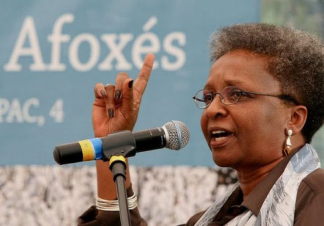 Luiza Bairros, referência na luta pela igualdade racial, morre aos 63 anos