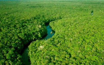Conferência do Clima - Amazônia 2