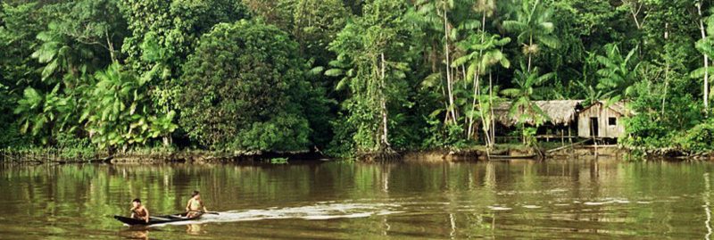 Preservação da Amazônia deve respeitar população nativa