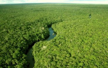 floresta Amazônia clima