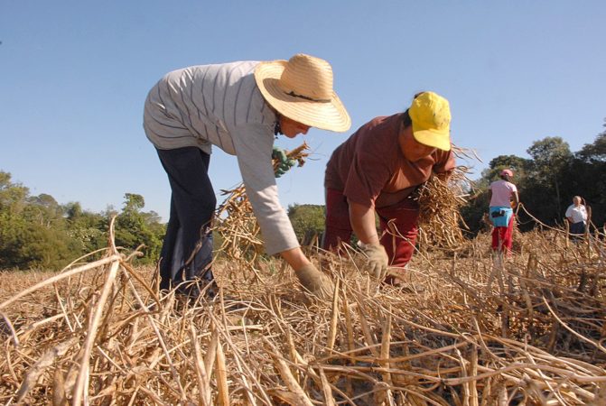 Subsidiar previdência rural é retribuir quem produz alimentos