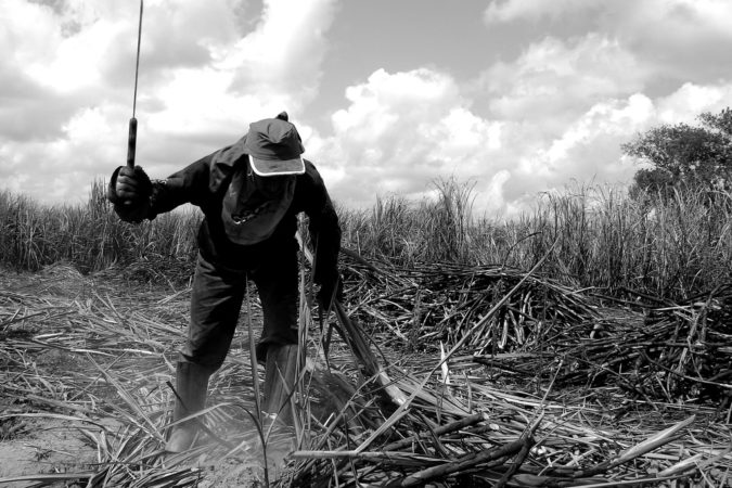 Tucano propõe pagar trabalhador rural com comida