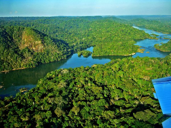 Estruturar Fórum Parlamentar para incluir Amazônia