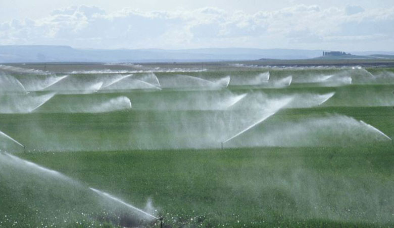 Agronegócio ‘exporta’ 112 trilhões de litros de água