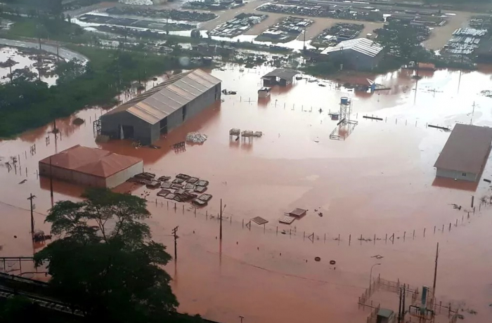 Quilombolas denunciam crimes ambientais no Pará