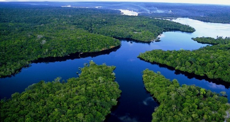 Amazônia: uma periferia que ecoa da floresta paraense
