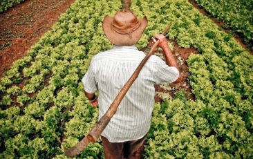 PT e movimentos sociais defendem novo sistema agroecológico