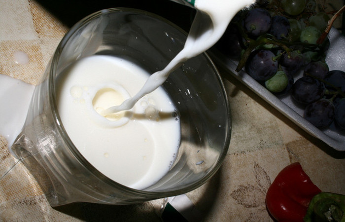 Para favorecer estrangeiros, governo ameaça produção leiteira
