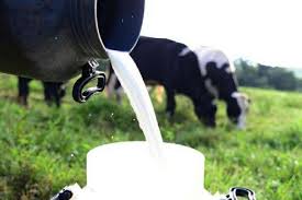 leite anti dumping governo