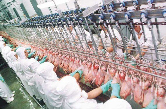 Perda de mercado externo de carne já ameaça empregos no Paraná