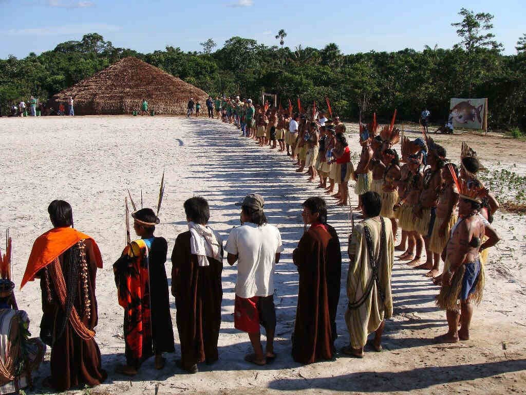 Defesa da Amazônia impõe união da sociedade civil
