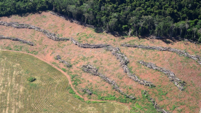 “Política Ambiental” de Bolsonaro ameaça Fundo Amazônia