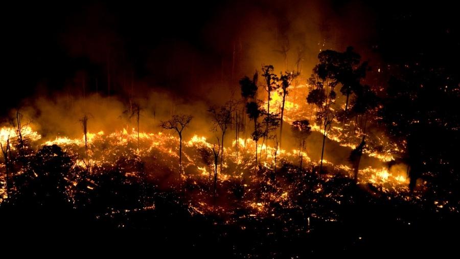 Governo queima Amazônia, imagem do Brasil e exportações