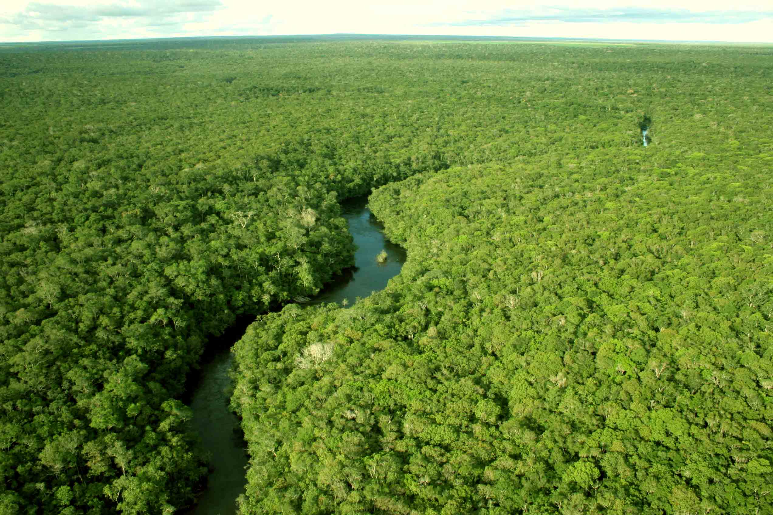 Sites espalham mentiras envolvendo Amazônia e PT