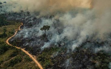 Retrocesso faz Brasil bater recorde de queimadas em 2019