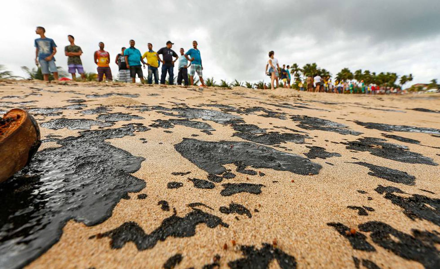 Senadores criticam inércia sobre derramamento de óleo