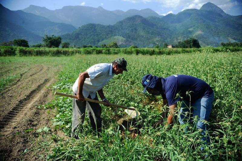 Bolsonaro ataca reforma agrária e agricultura familiar