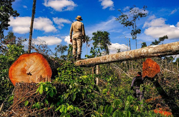 Dieese defende ‘empregos verdes’ para o pós-pandemia