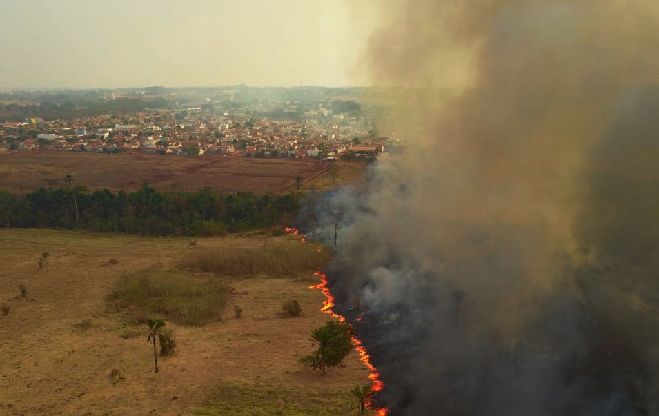 Apatia do governo Bolsonaro tem destruído o pantanal brasileiro